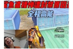 揭秘鲨鱼黄抖阴直播：震撼场面与真实故事曝光！
