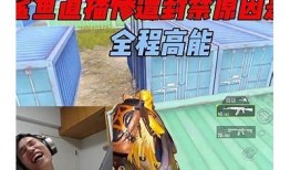 揭秘鲨鱼黄抖阴直播：震撼场面与真实故事曝光！