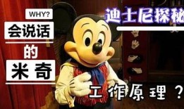 探秘米奇抖阴短视频：搞笑背后的小秘密与看点