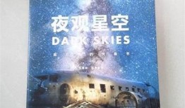 不见星空，抖阴夜色下的神秘探索与感悟