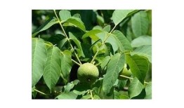极品抖阴资源分享，寻找最优质的抖音内容平台