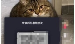 广泛解析抖阴视频教程：快速上手，轻松制作热门视频