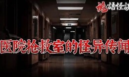 阴兵四兄弟：惊险搞笑的灵异故事短视频合集