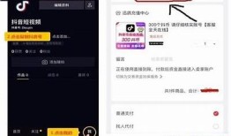 抖阴充值客服：快速解决您充值障碍的专业团队助手