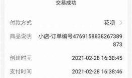 抖阴小视频支付方式详解，快速掌握支付技巧！