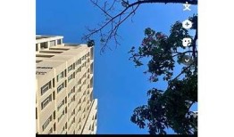 如何在抖阴中顺利修改文件格式，有效提升百度收录排名？
