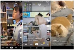 抖音VIP小视频欣赏：精选短视频推荐，轻松获取热门内容！