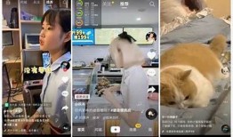 抖音视频APP破解教程，轻松获取高级功能与技巧