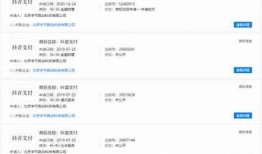 抖阴为何频频请求支付？揭秘背后根本原因与处理方式方式