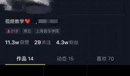 推荐几款值得体验的抖音类似黄视频软件，安全又好用！