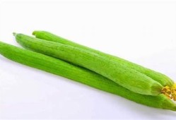 抖音热搜：揭秘阴丝瓜的营养价值与食用方法