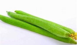 抖音热搜：揭秘阴丝瓜的营养价值与食用方法