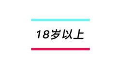 抖阴1.5.6老司机详解：新版本特有功能与使用技巧