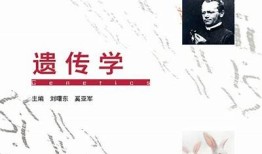 抖阴记：深入探索当代社会的隐秘角落与真实故事