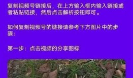 抖音抖币下载指南：如何快速获取和使用抖币技巧分享