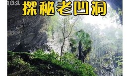 探秘抖阴双苤：深度解析其热门根本原因与用户体验