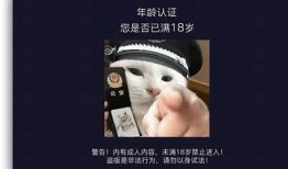 抖阴tvdytv.ca：畅享多元视频娱乐，尽情探索新内容！