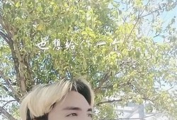 揭秘抖音阴版人：短视频背后的趣味与创意