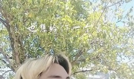 揭秘抖音阴版人：短视频背后的趣味与创意