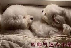 被窝电影福利网：尽享抖阴最新影视资源与精彩内容！
