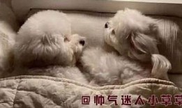 被窝电影福利网：尽享抖阴最新影视资源与精彩内容！