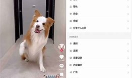 抖音短视频iOS破解版免费下载，畅享无限精彩内容