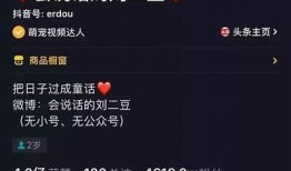 「阴光照耀：探索抖音短视频中的神秘美景与情感共鸣」
