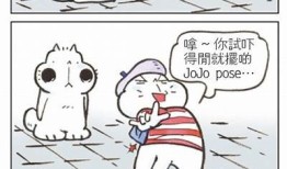 全新解析：抖阴猫咪快猫破解方法大全与实用技巧