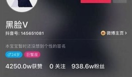 抖音是否存在病毒风险？彻底检视与防护建议
