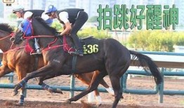 探秘抖阴F2代：了解新一代短视频平台的魅力与动向