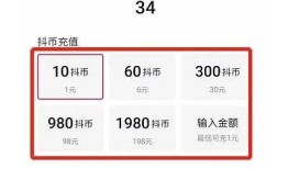 抖阴是否支援充值功能？详解充值流程与注意事项