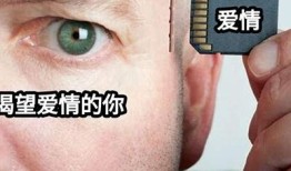 爱恋抖阴艾克：探索爱情与音乐的完美结合