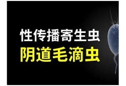 揭秘小阴虫的生活习性与防治方法，让你轻松应对！