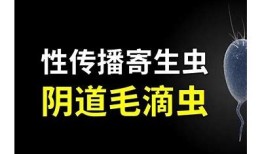 揭秘小阴虫的生活习性与防治方法，让你轻松应对！