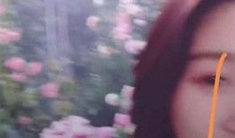 苹果手机如何验证抖阴账号？详细步骤解析与技巧分享