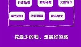 抖音VIP破解盒子最新使用教程与下载指南，轻松享受无限乐趣