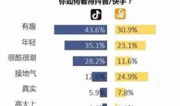 抖音与快手的对比检视：哪个更适合你？