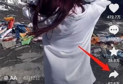 如何高效下载抖音和快手直播视频教程