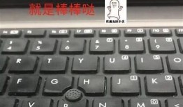 苹果用户必看：如何在抖阴上轻松观看精彩视频教程