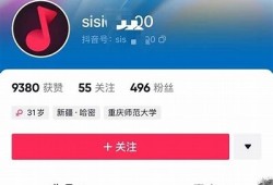 抖阴软件安全性检视：是否含有病毒风险？
