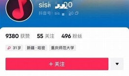 抖阴软件安全性检视：是否含有病毒风险？
