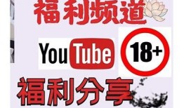 老司机专用：抖阴破解版下载与使用指南