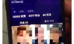 快手与抖阴：成人内容平台的兴起与发展动向研究