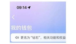 抖音中的抖币是什么？详细解析抖币的获取与使用方法