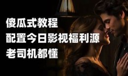 老司机抖阴TVapp下载6：轻松享受精彩短视频的最佳选择
