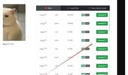 如何快速下载抖音app，获取精彩短视频资源