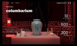 阴缘拜堂视频：探秘抖音短片背后的故事与文化