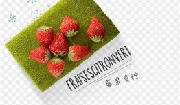 打造草莓标志的抖阴，畅享甜蜜体验与全新视觉盛宴