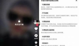 抖音App VIP特权详解：享受更优质的短视频体验