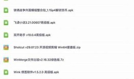 2023抖阴高级版破解教程：轻松获取无限功能与使用技巧